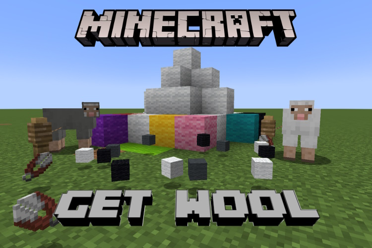 How to Get Wool in Minecraft (4 Ways)