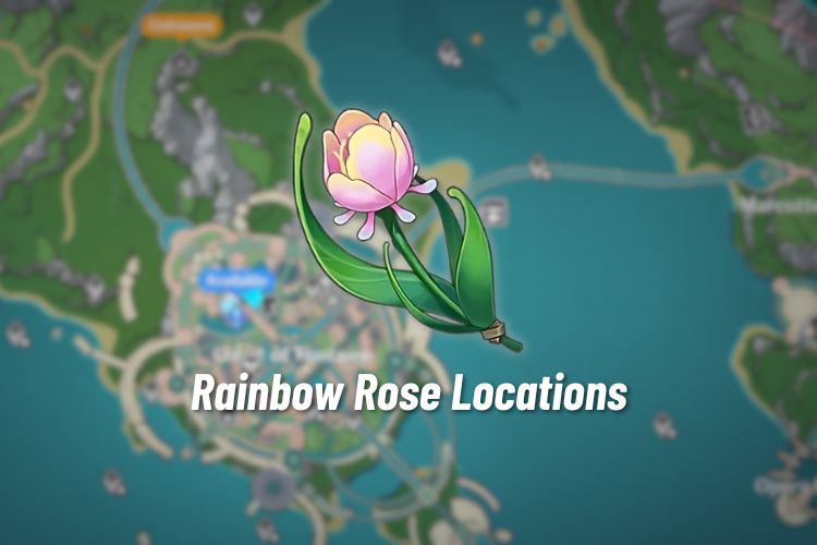 Genshin Impact: Rainbow Rose Locations & Farming Routes