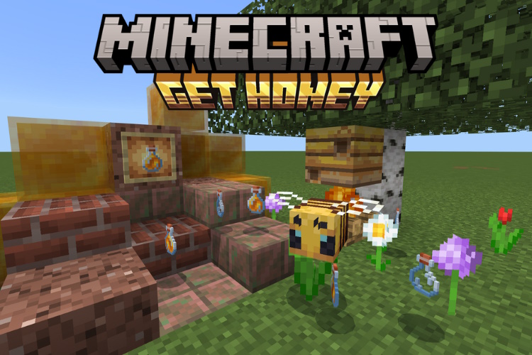 How to Get Honey from a Beehive in Minecraft