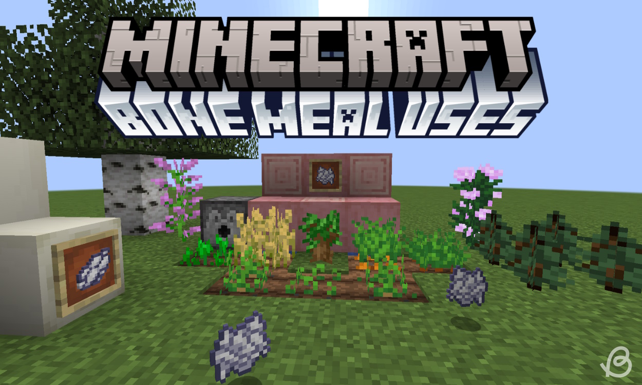 5 Best Uses for Bone Meal in Minecraft