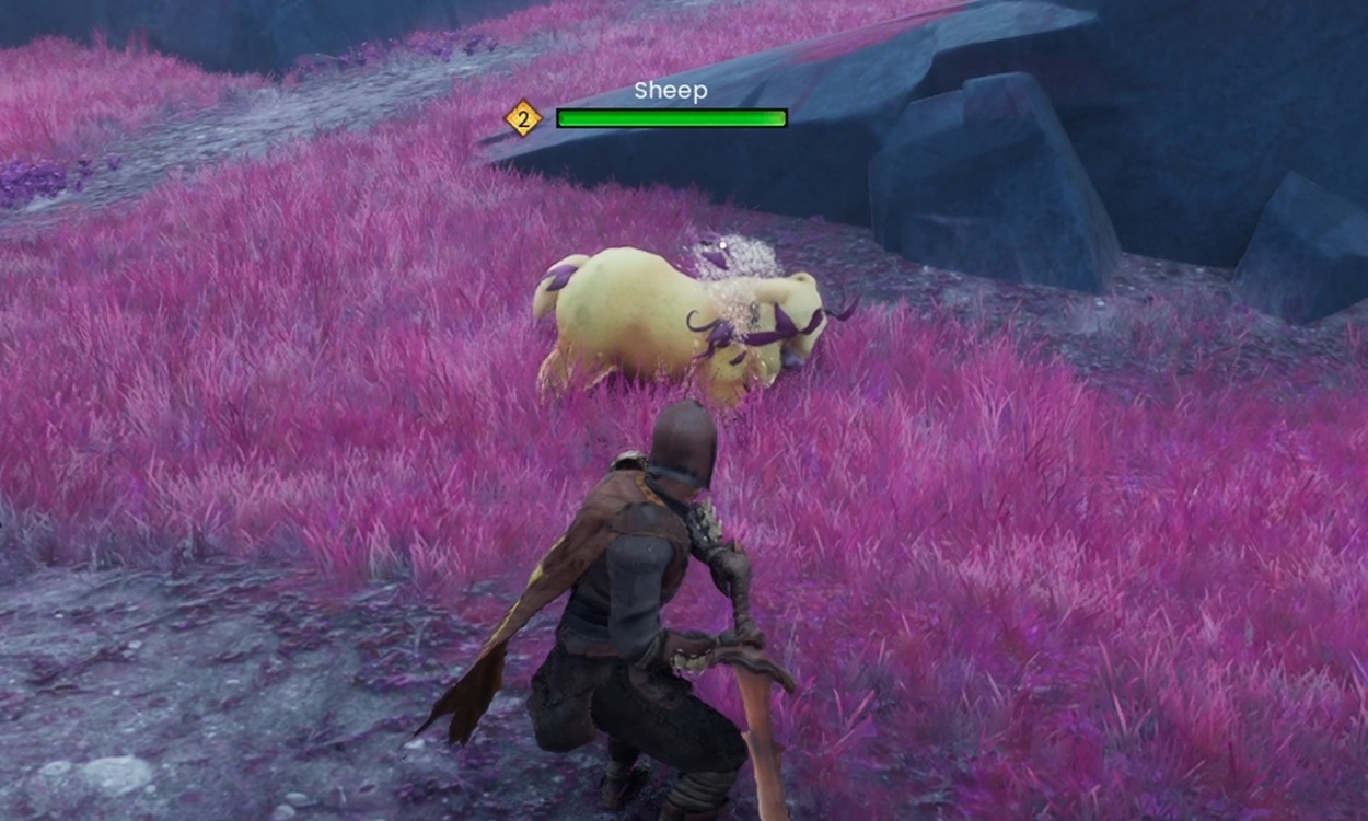 How to Get Wool Thread in RuneScape DragonWilds