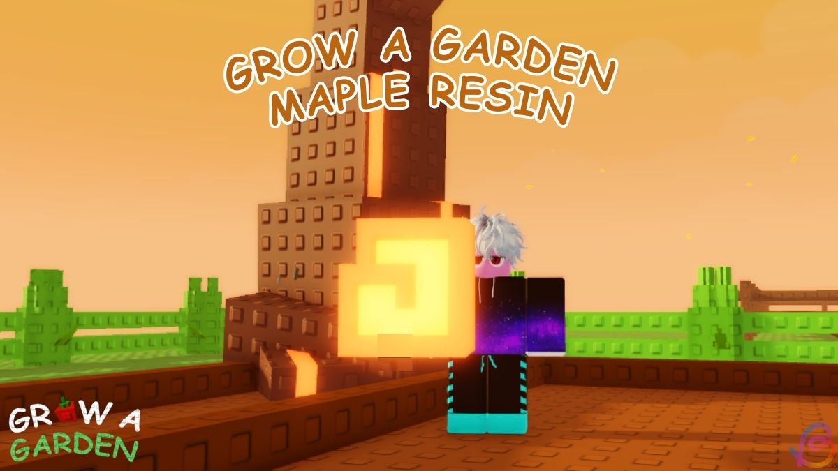 How to Get Maple Resin in Grow a Garden