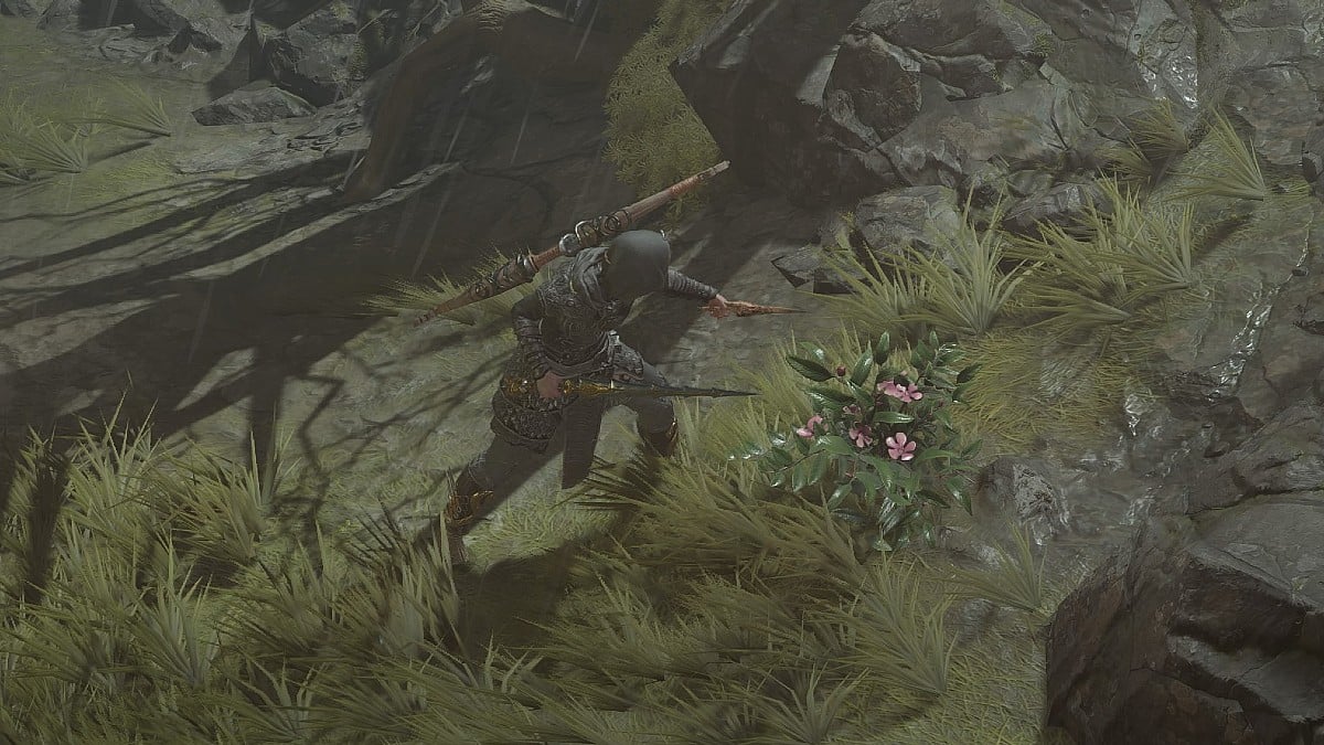 How to Get Gallowvine in Diablo 4