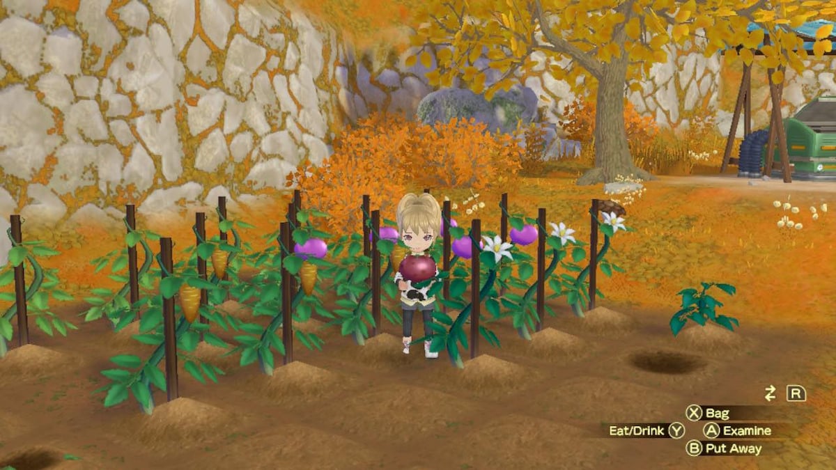 All Rare Hybrid Crops in Story of Seasons: A Wonderful Life Listed