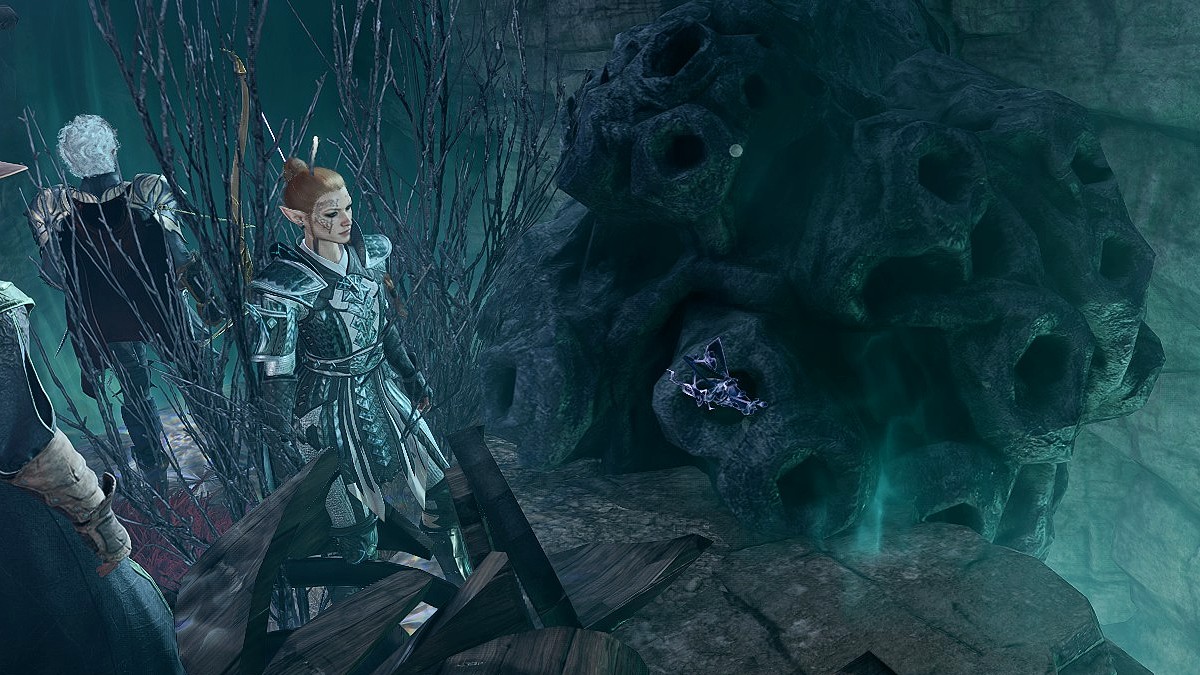 Baldur's Gate 3: How to Find the Night Orchid in BG3