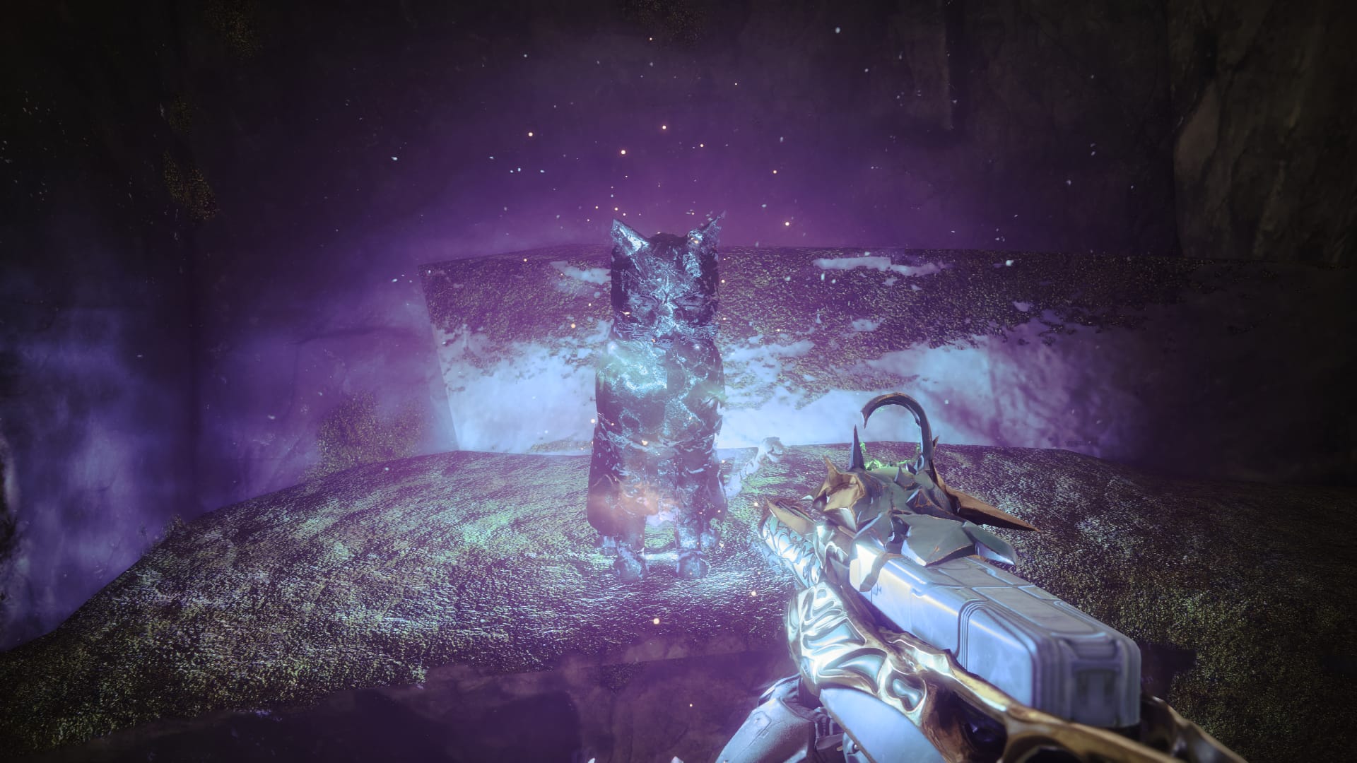 All Starcat Locations (Familiar Felines) in Destiny 2