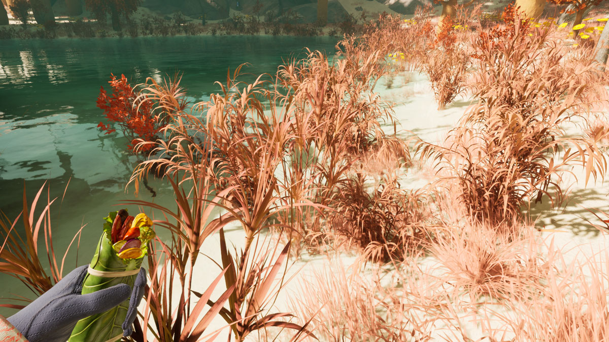 Where to Find Plant Fiber in the Desert in Nightingale