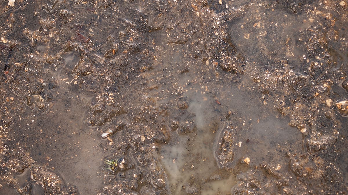 How to Make Mud in Infinite Craft