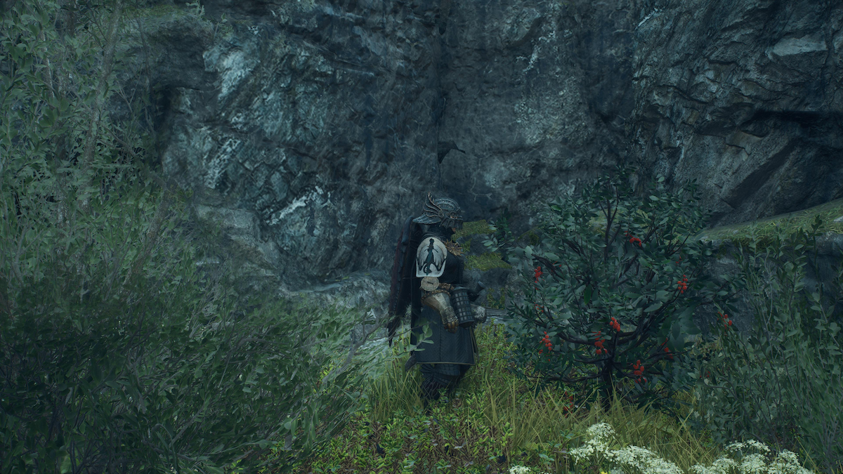How to Get Fruit Roborant in Dragon's Dogma 2 (& How to Craft It)