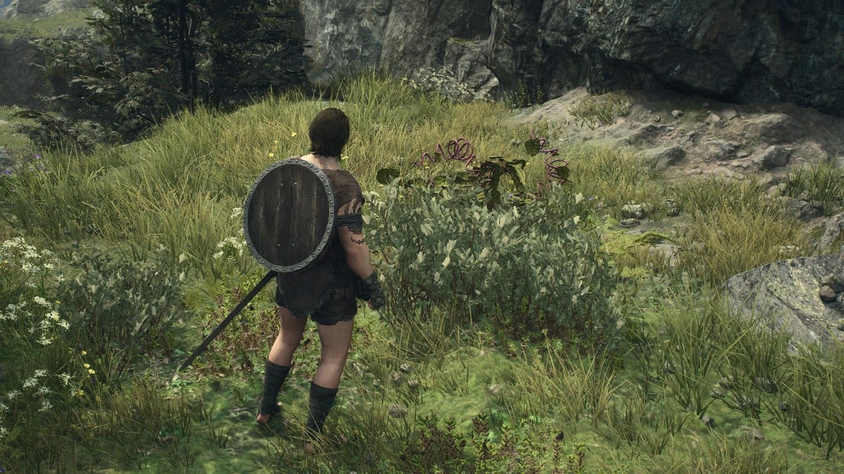 How to Get Salubrious Draught in Dragon's Dogma 2