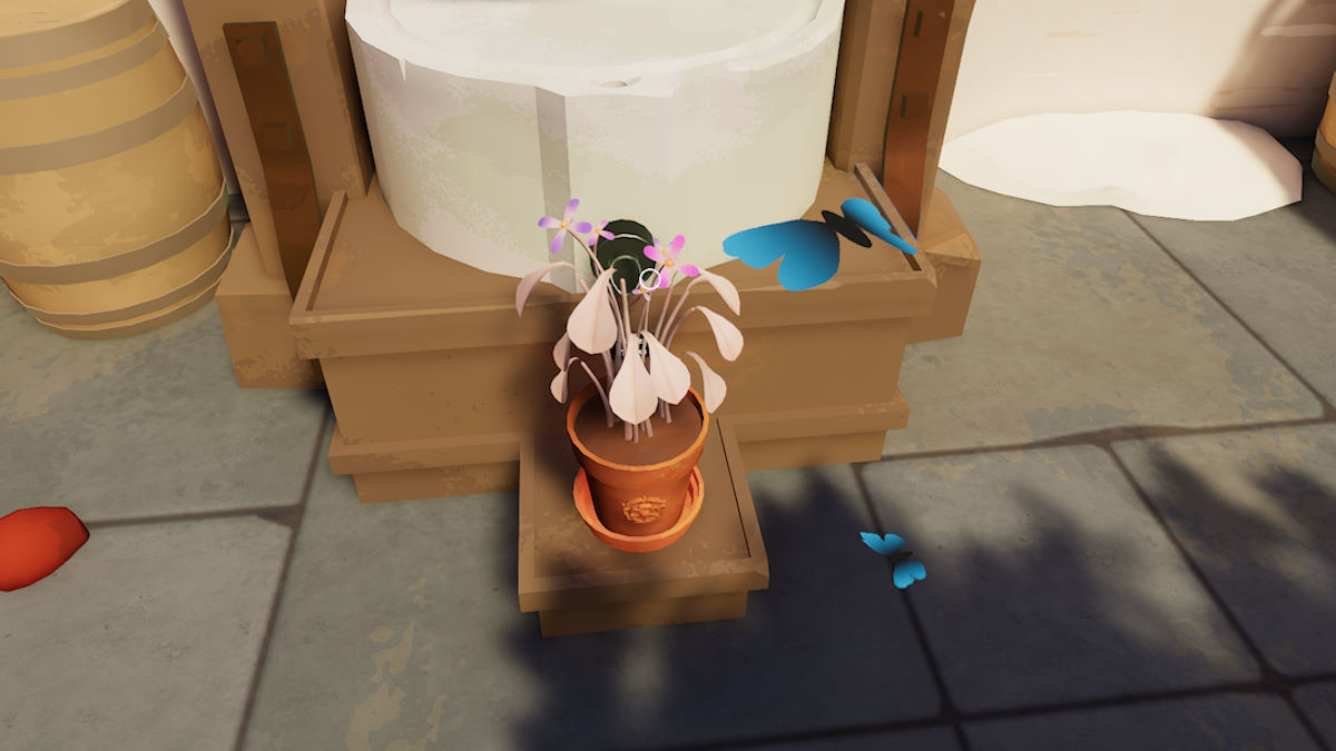 How to Grow Pixie Tears in Botany Manor
