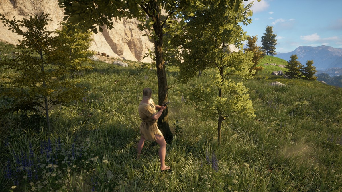 How to Get Wooden Pegs in Pax Dei
