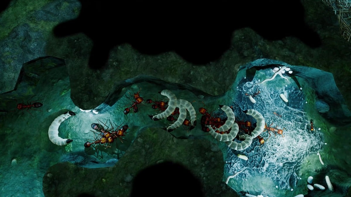 How to Play Free Mode in Empires of the Undergrowth