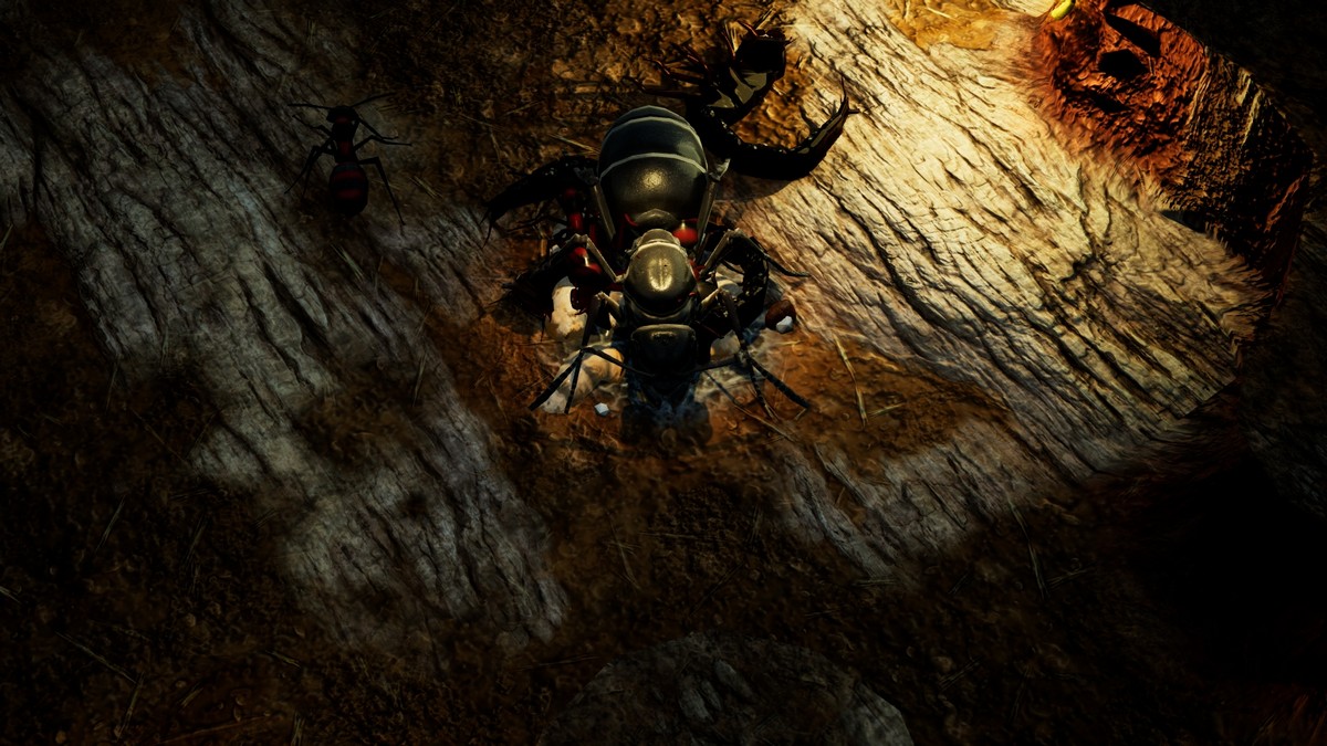 How to Upgrade Your Ants in Empires of the Undergrowth