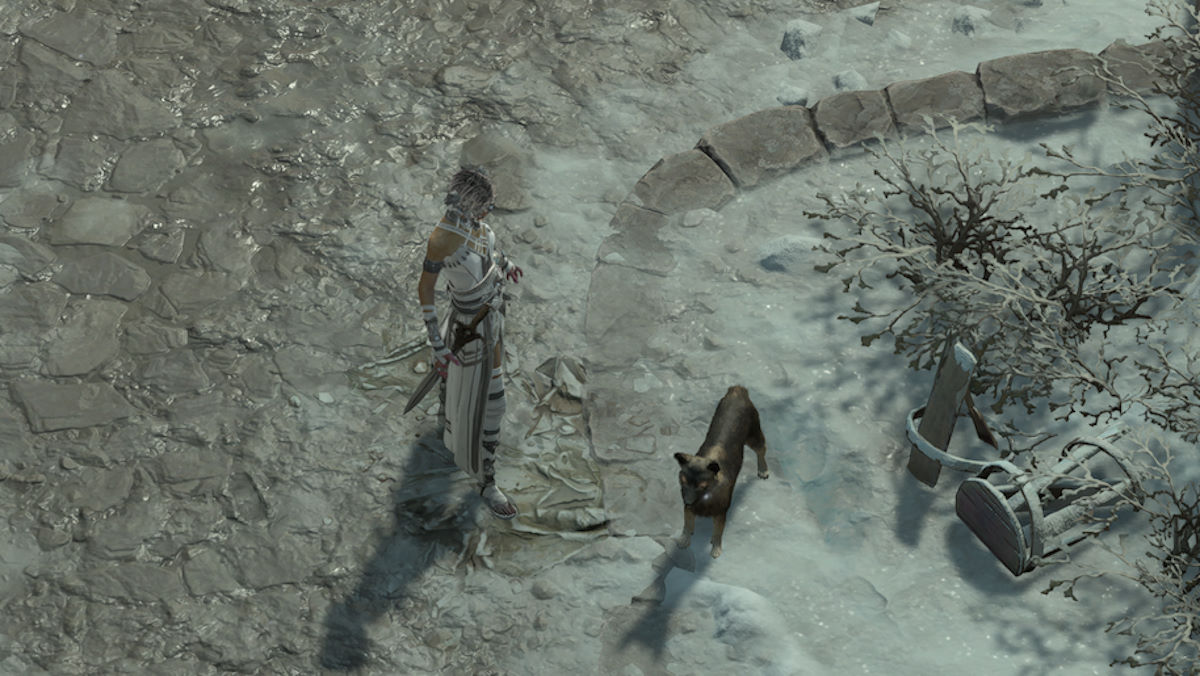 How to Get Pets in Diablo 4