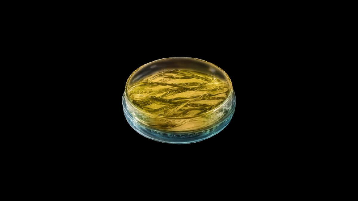 How to Get Artificial Biometal in The First Descendant