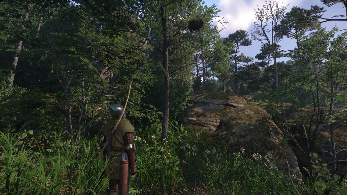 What To Do With Nests in Kingdom Come Deliverance 2