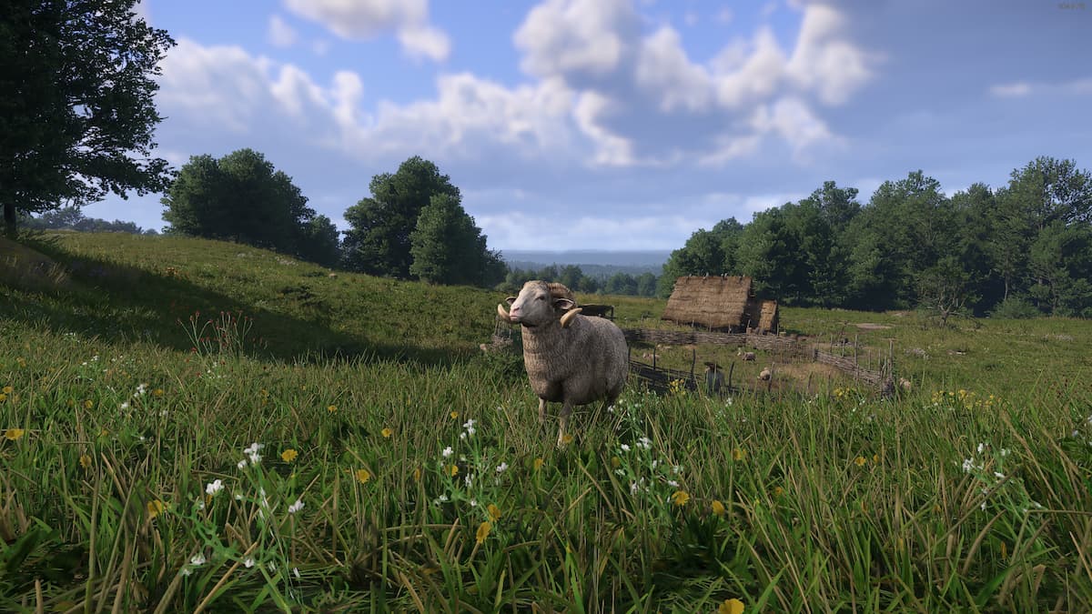 How To Save Ignatius the Sheep in Kingdom Come Deliverance 2