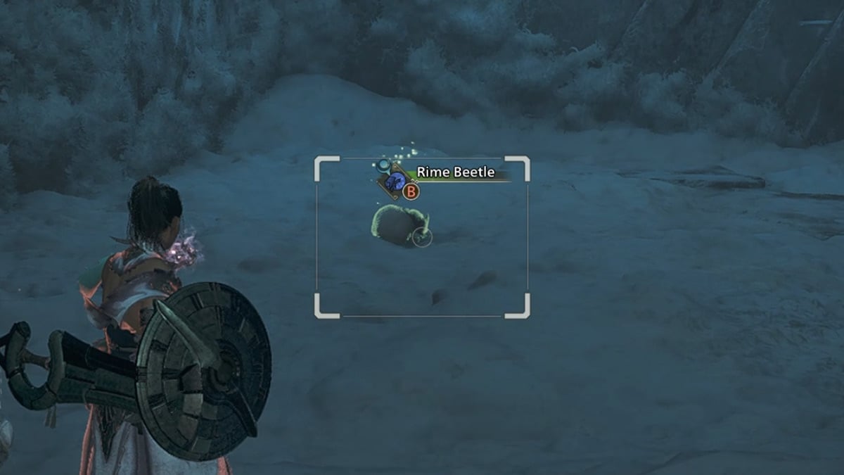 Where to Find the Rime Beetle in Monster Hunter Wilds?