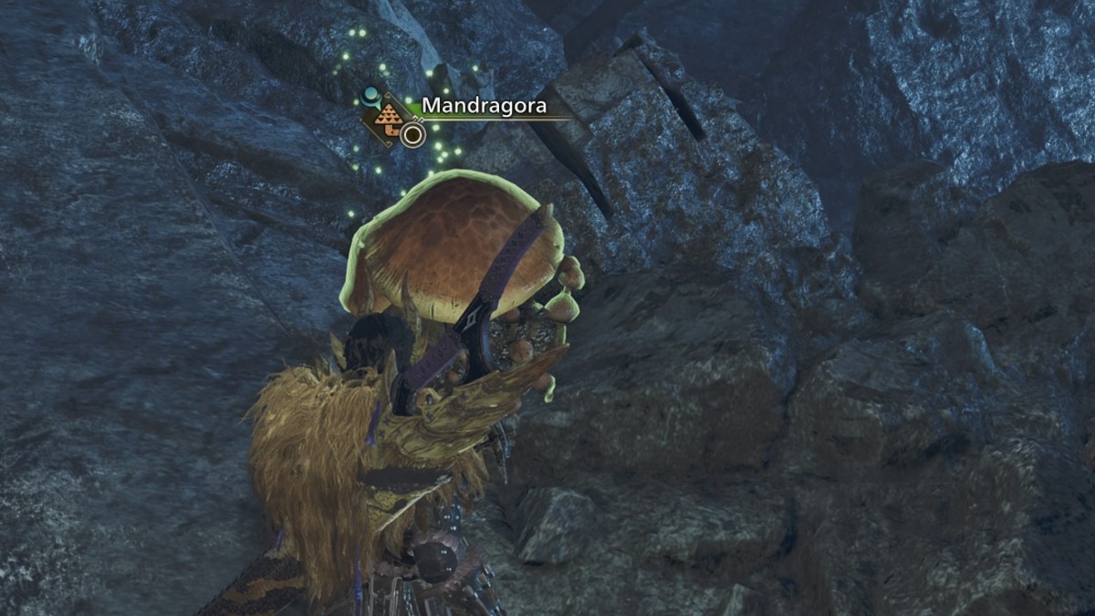 Where to Find Mandragoras in Monster Hunter Wilds