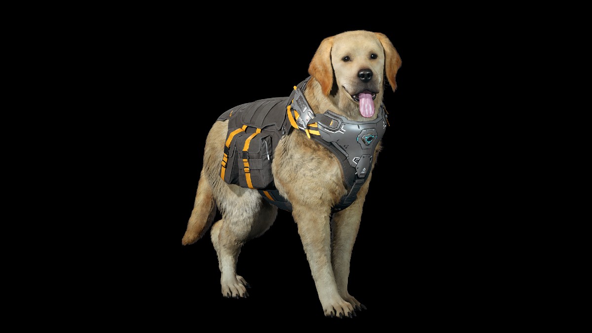 How to Get Vespers Hunting Dog in The First Descendant
