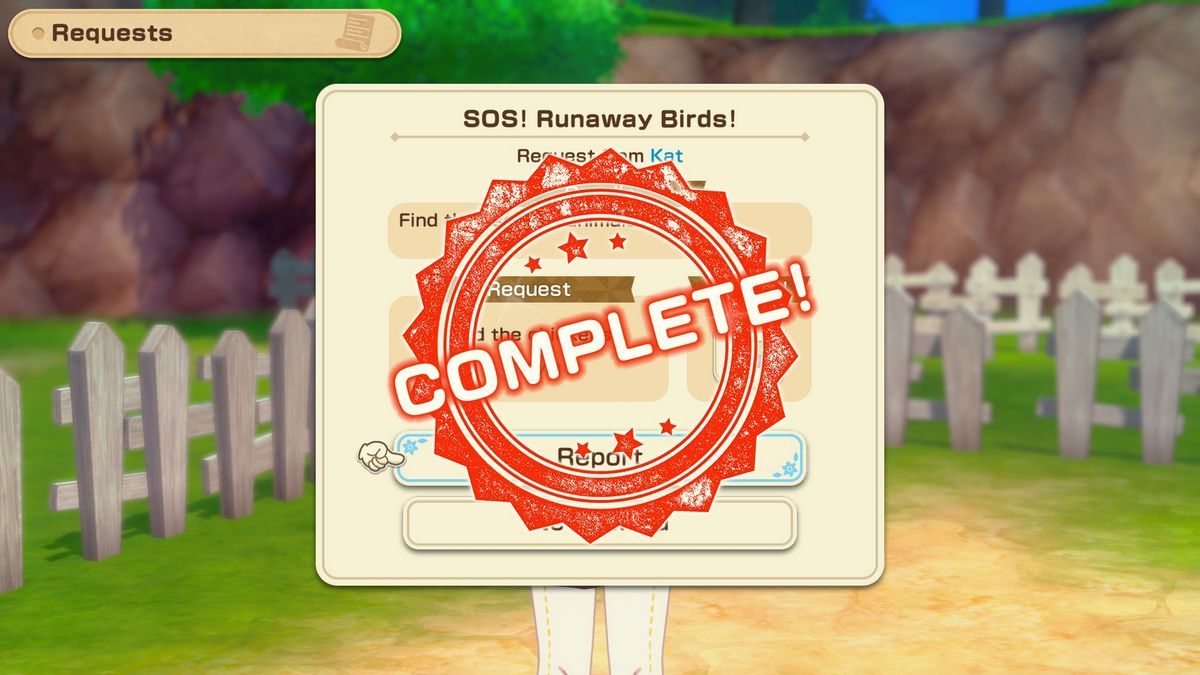 Where to Find Kat's Escaped Chickens in Story of Seasons Grand Bazaar