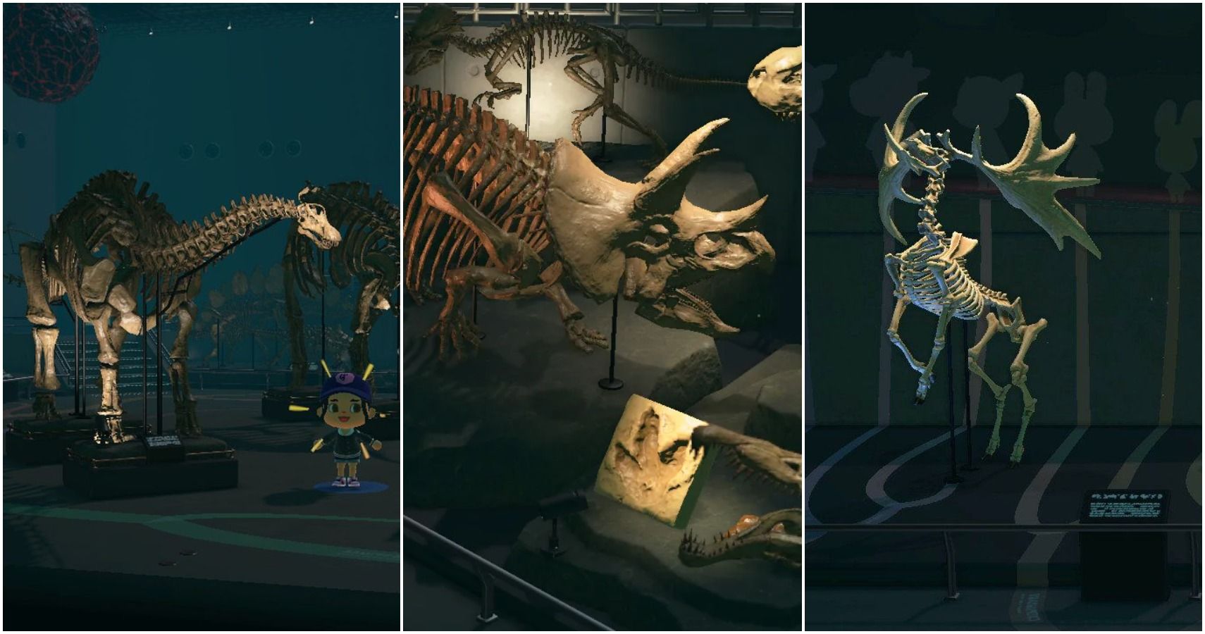 Animal Crossing: New Horizons - 20 Most Valuable Fossils