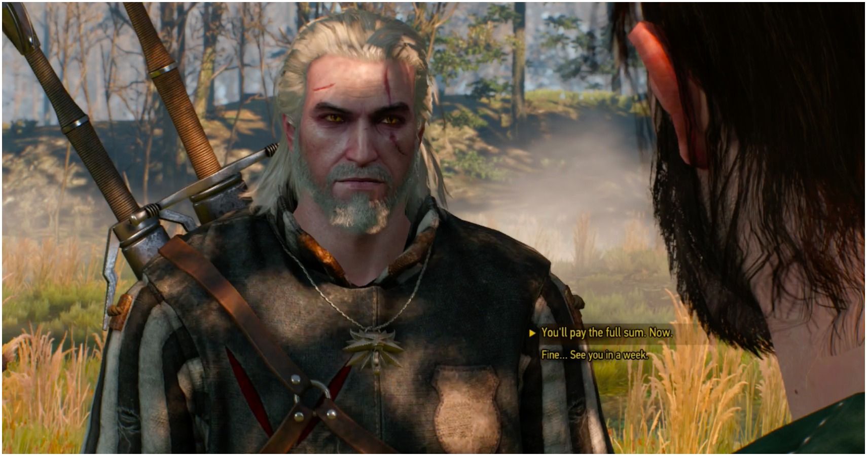 How To Complete The Witcher 3 Contract Swamp Thing