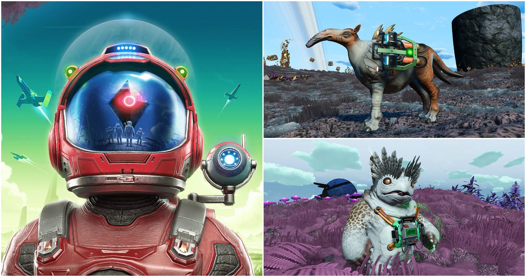 No Man's Sky: Companion Guide