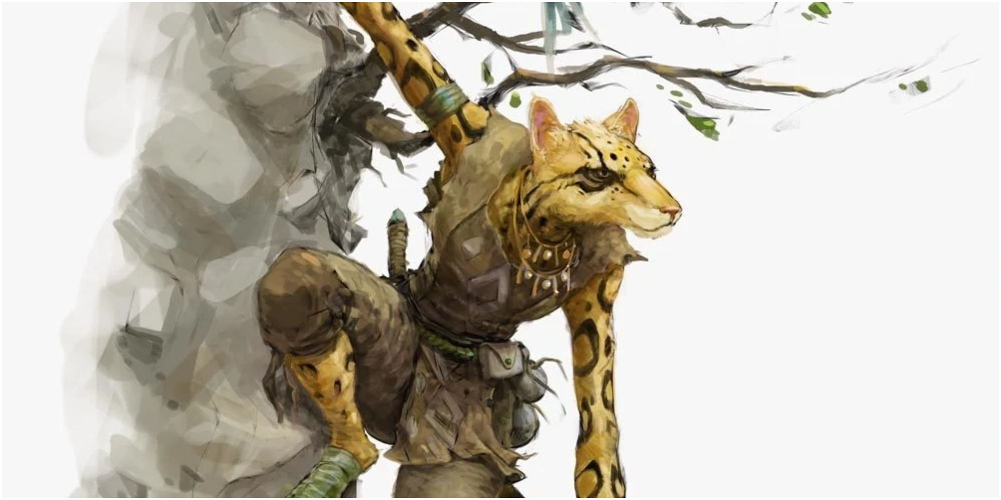 Dungeons & Dragons: 9 Tips For Playing As A Tabaxi