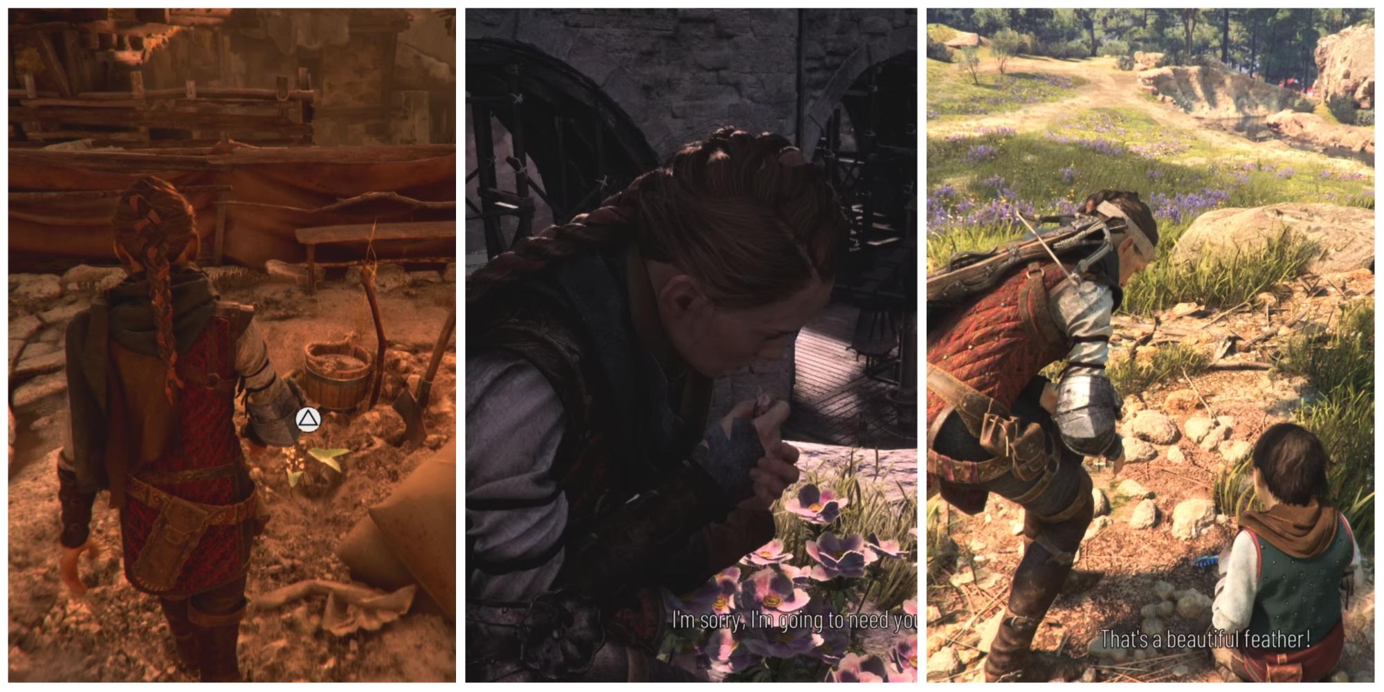 A Plague Tale: Requiem: Every Collectible Location For Hugo’s Herbarium