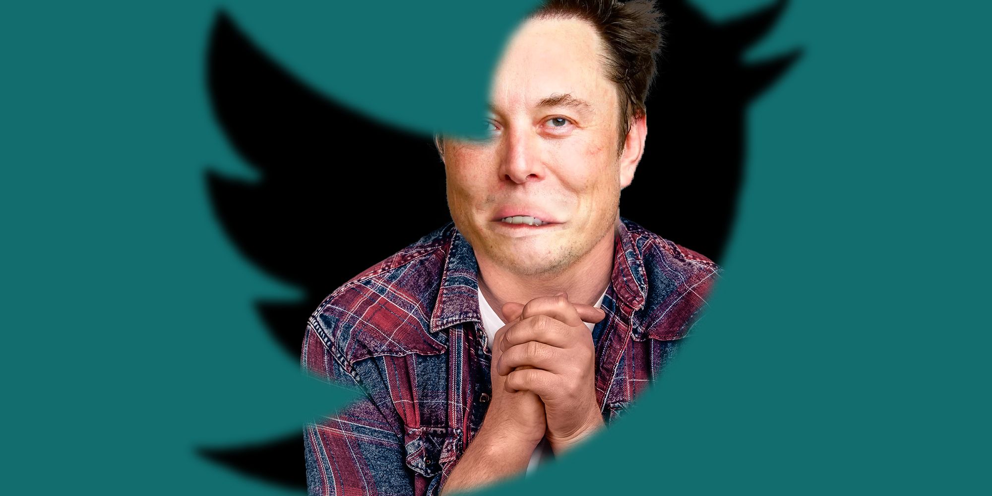 Elon Musk Appears To Be Unblocking Himself On People's Twitter Accounts