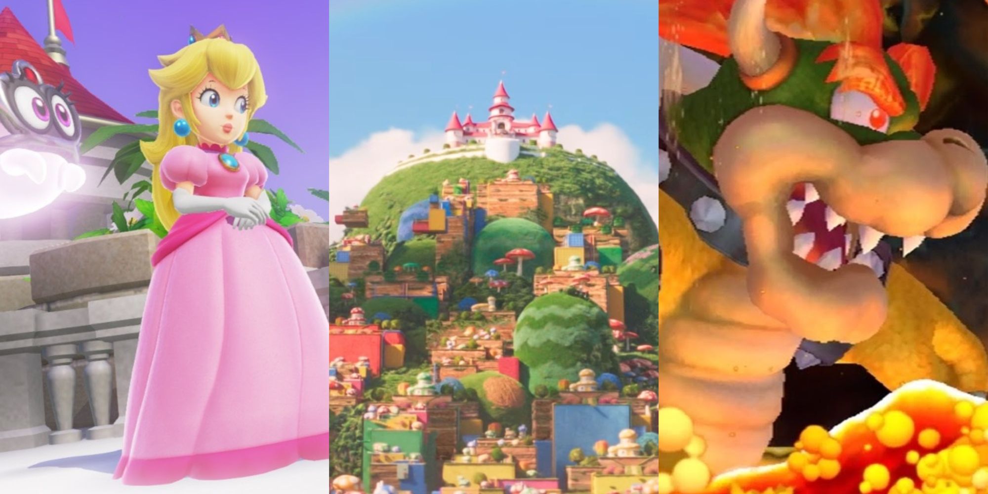 Mario: The Mushroom Kingdom, Explained