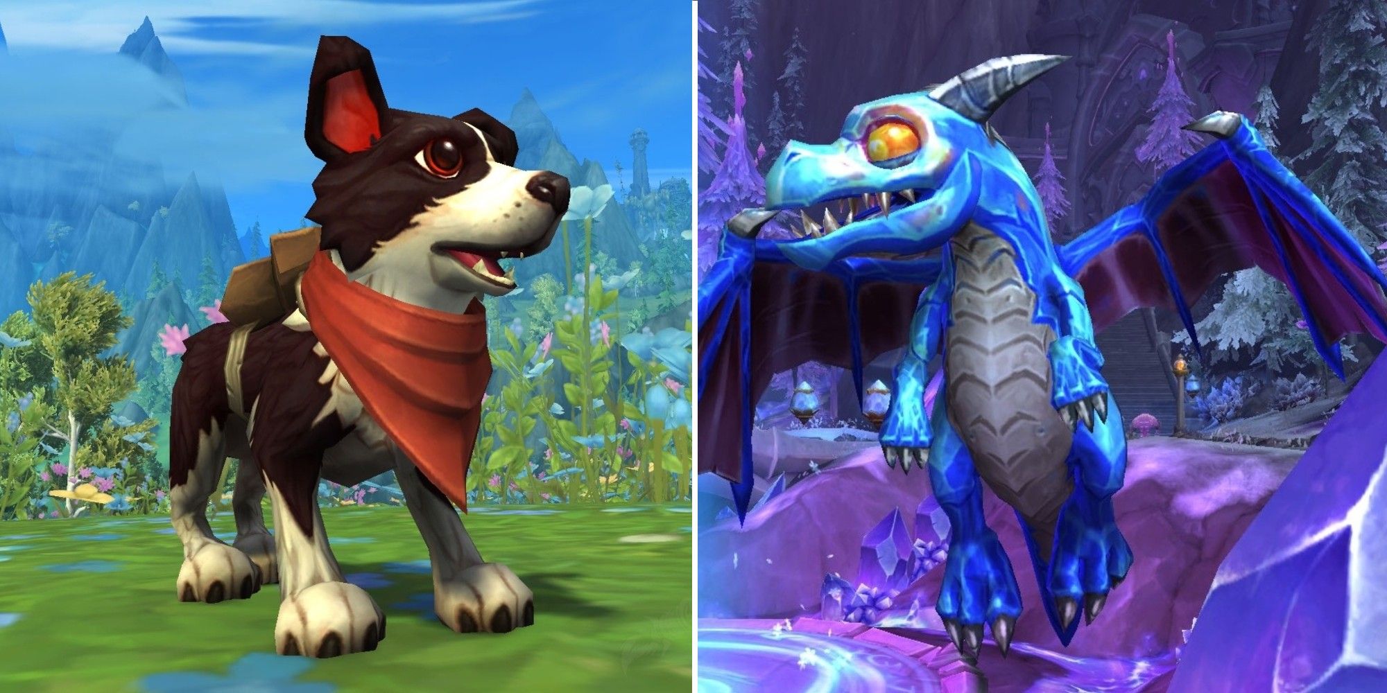 World of Warcraft: Dragonflight - 10 Rarest Battle Pets
