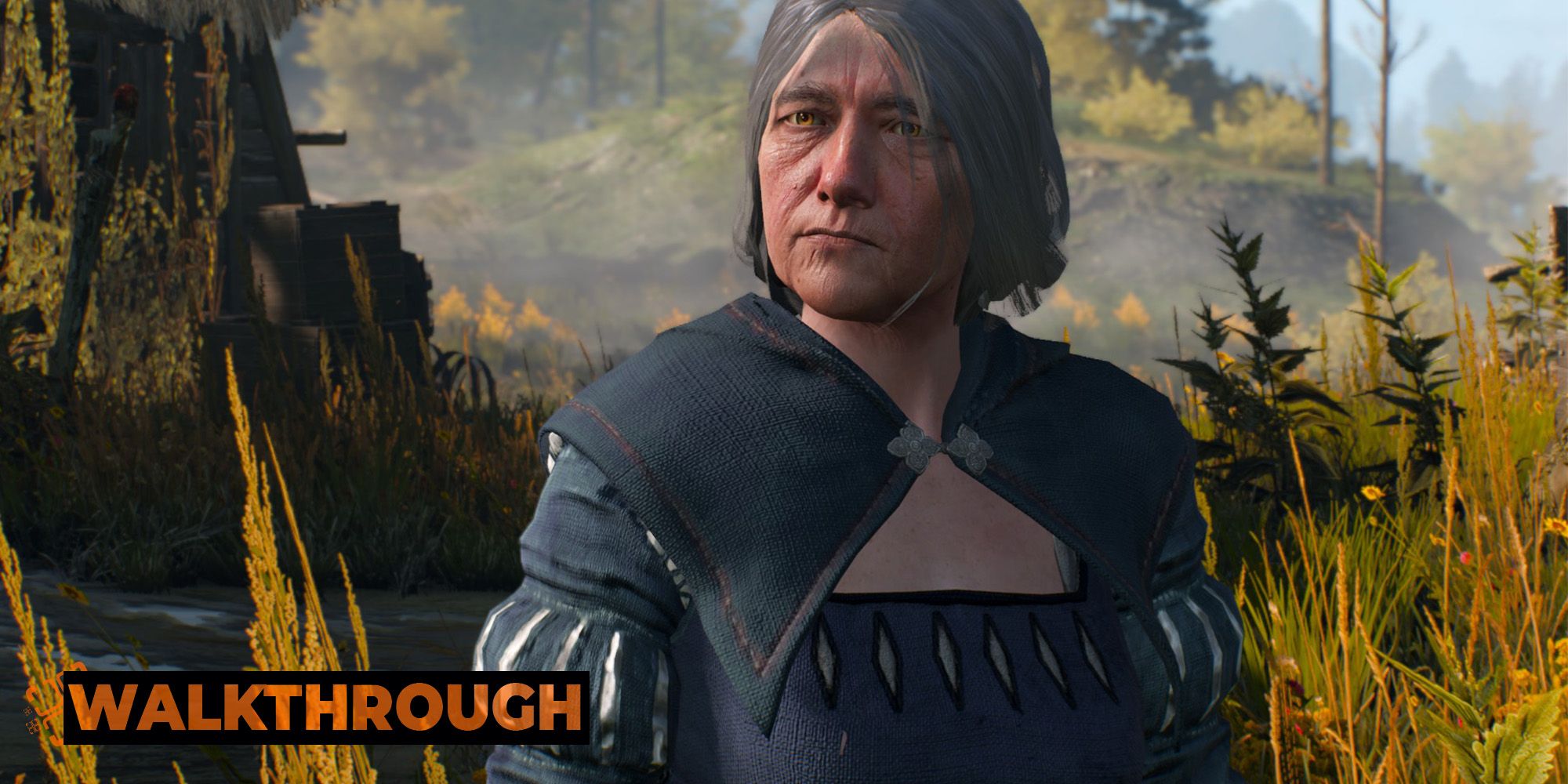 The Witcher 3: The Fall Of The House Of Reardon Side Quest Walkthrough