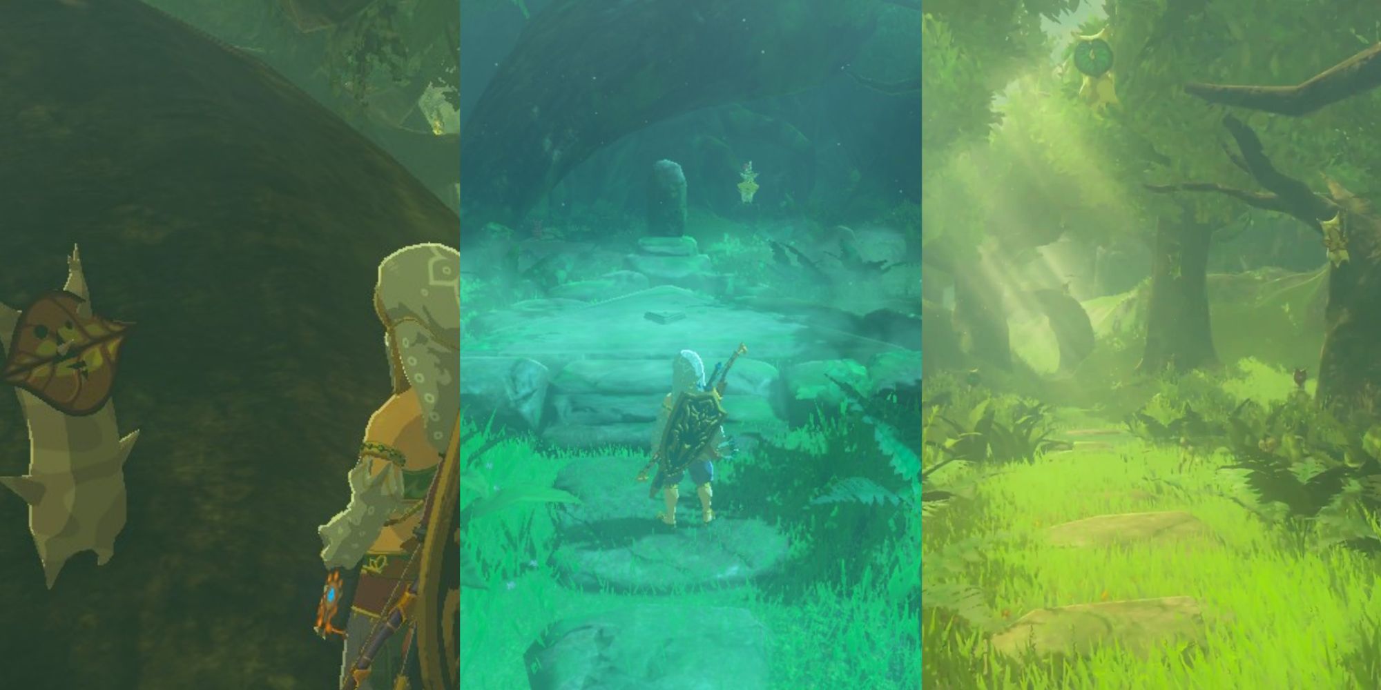 Zelda Breath Of The Wild: 10 Things You Missed In Korok Forest