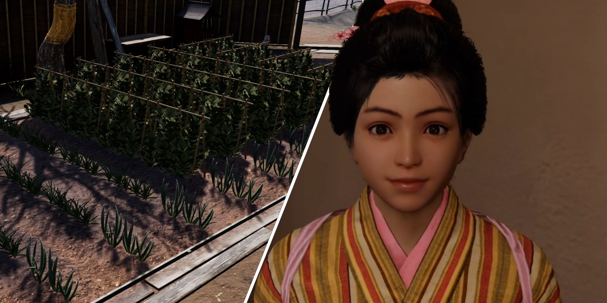 Like A Dragon: Ishin - Farming Guide