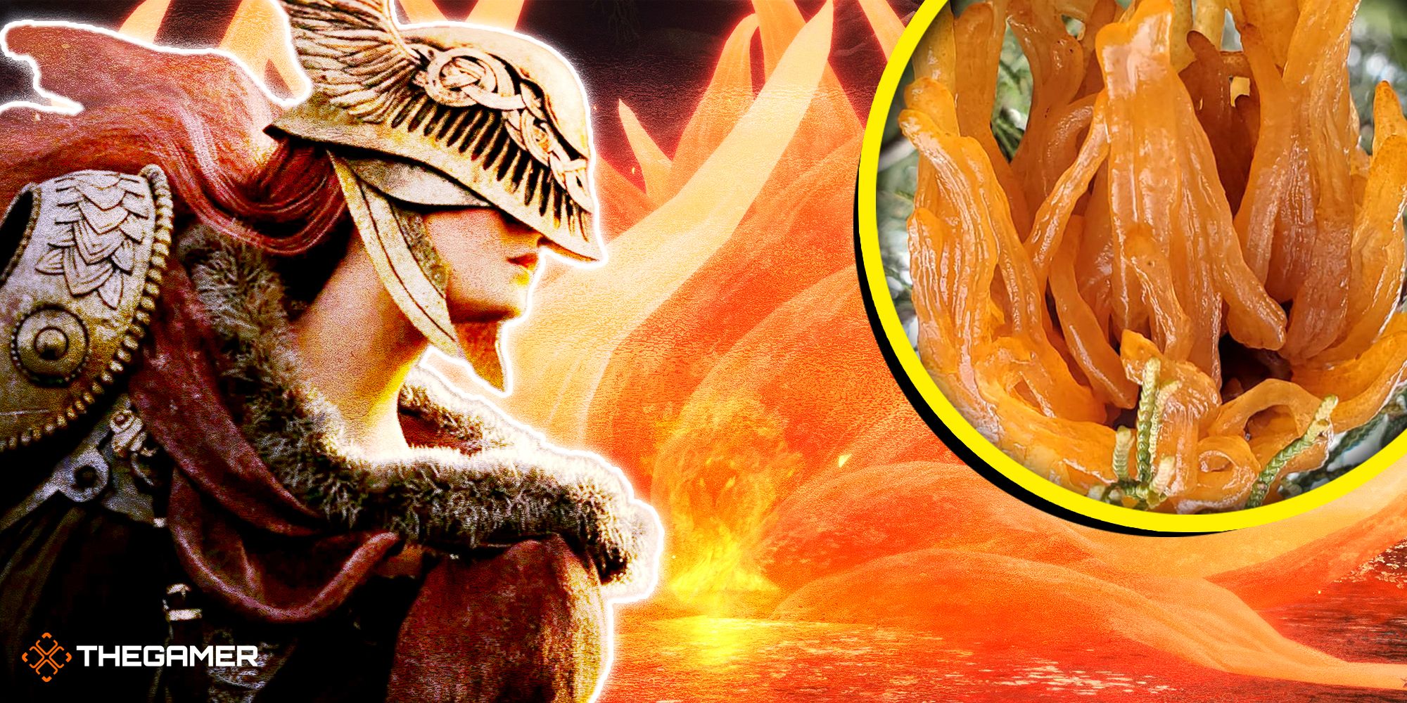 Melania's Rot In Elden Ring Looks Like Real-Life Fungal Bloom