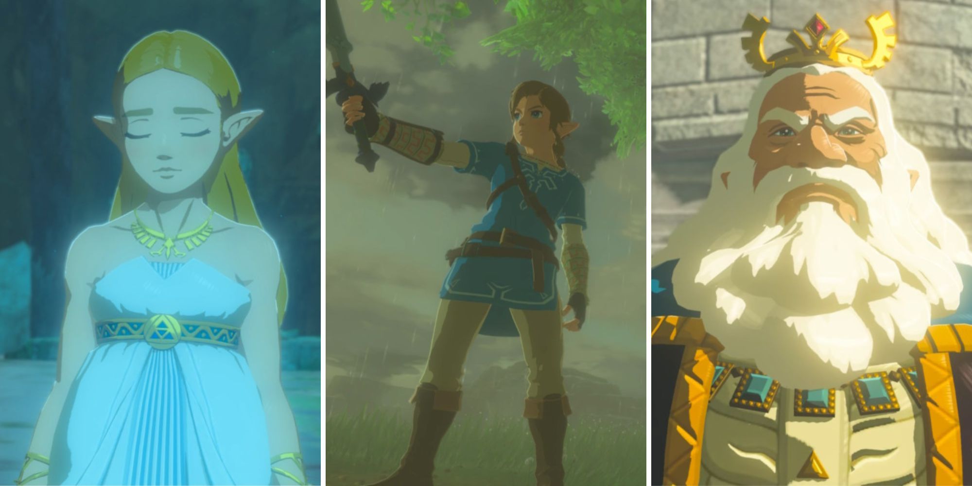 Breath Of The Wild: 10 Best Captured Memories
