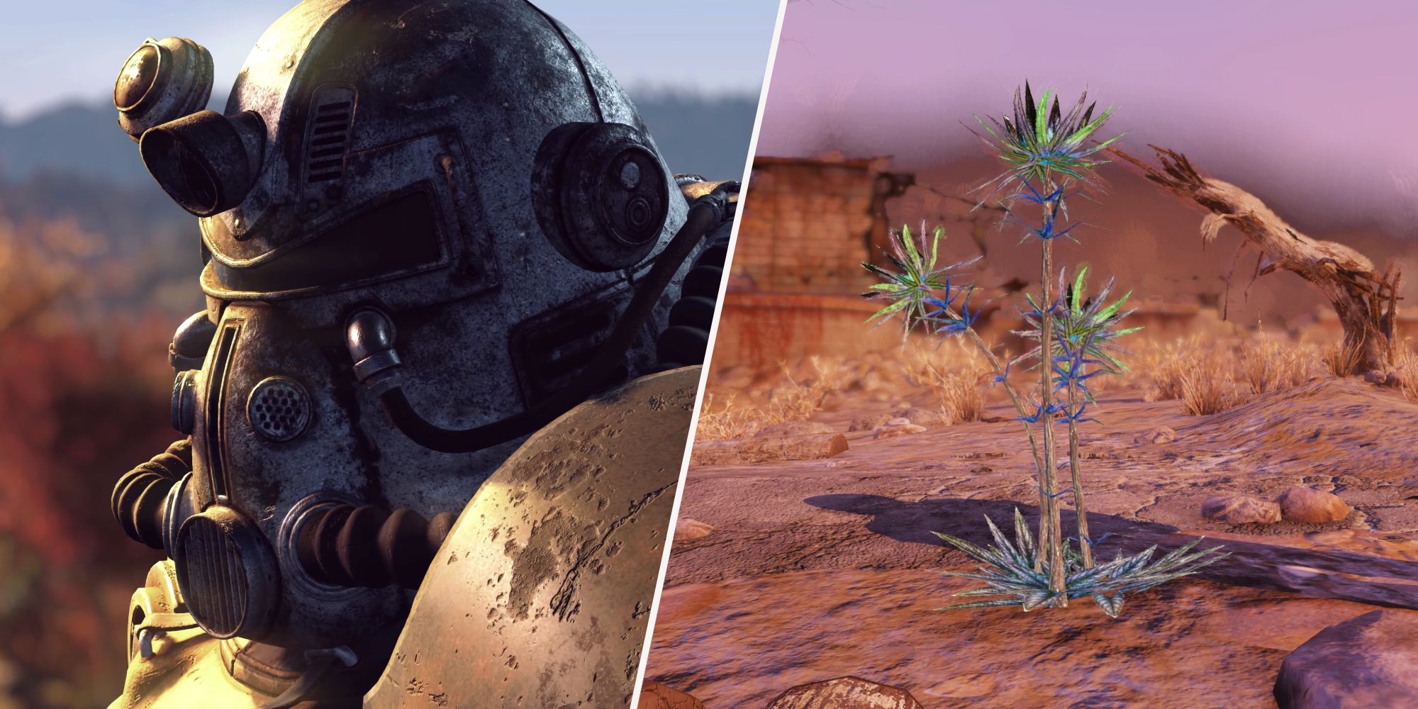 Fallout 76: How To Farm Thistles