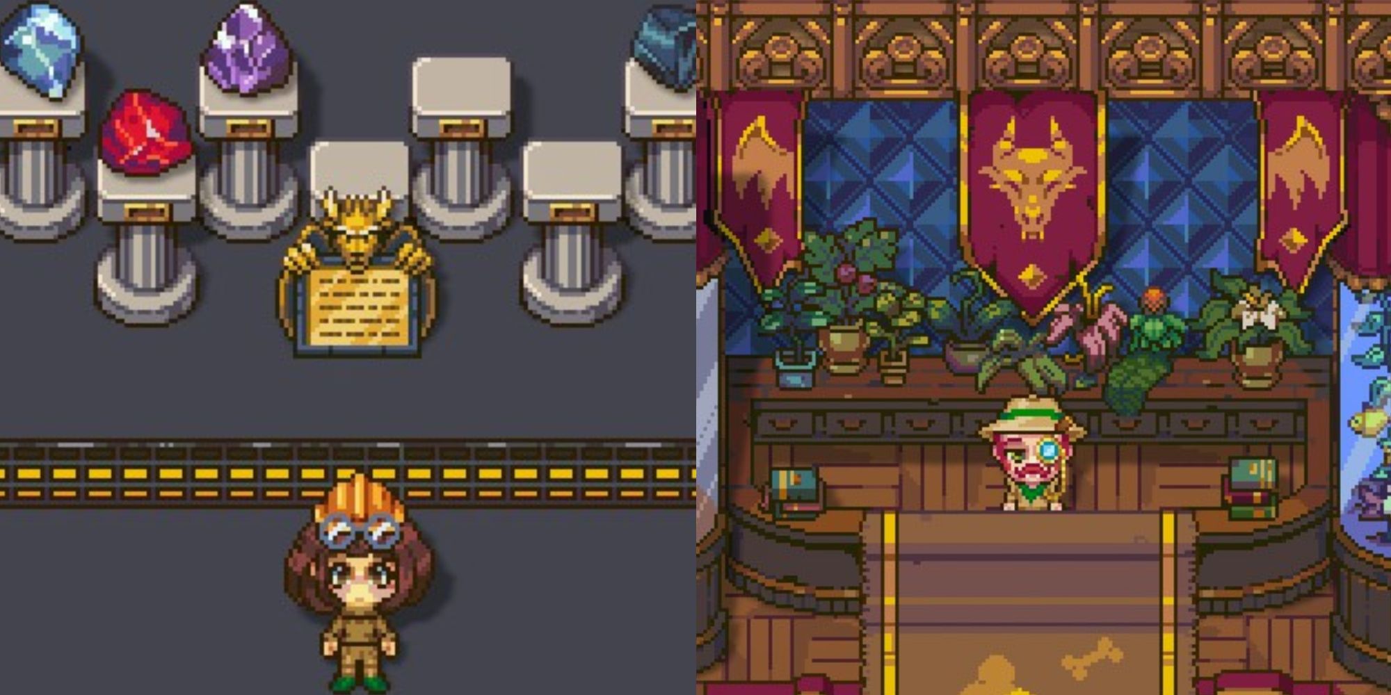 Sun Haven: Guide To Completing The Museum