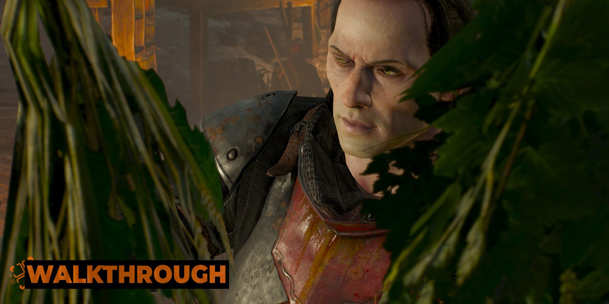 The Witcher 3: Rose On A Red Field Side Quest Walkthrough
