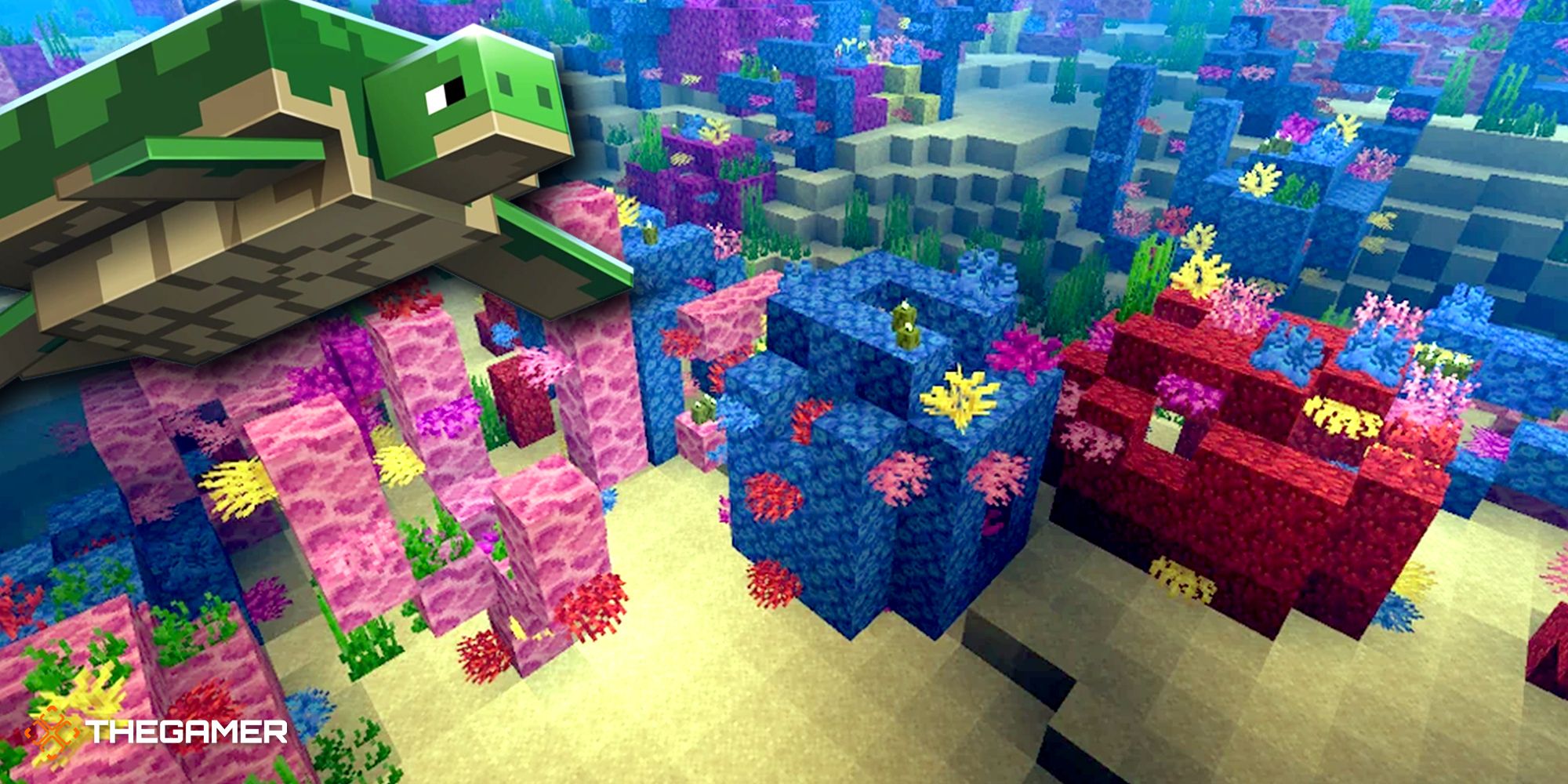 Minecraft: Everything You Need To Know About Coral Reefs
