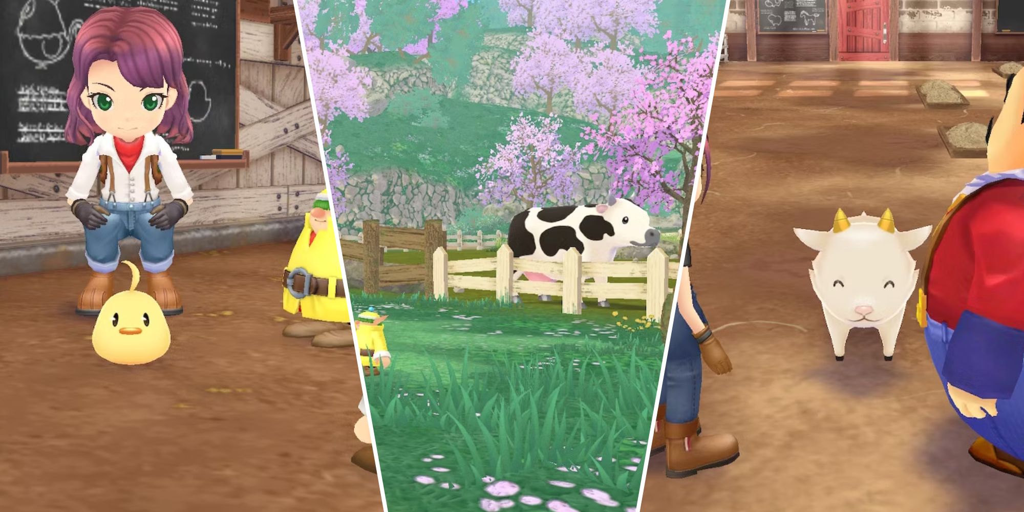 Story of Seasons: A Wonderful Life - 9 Unique Ideas For Animal Names