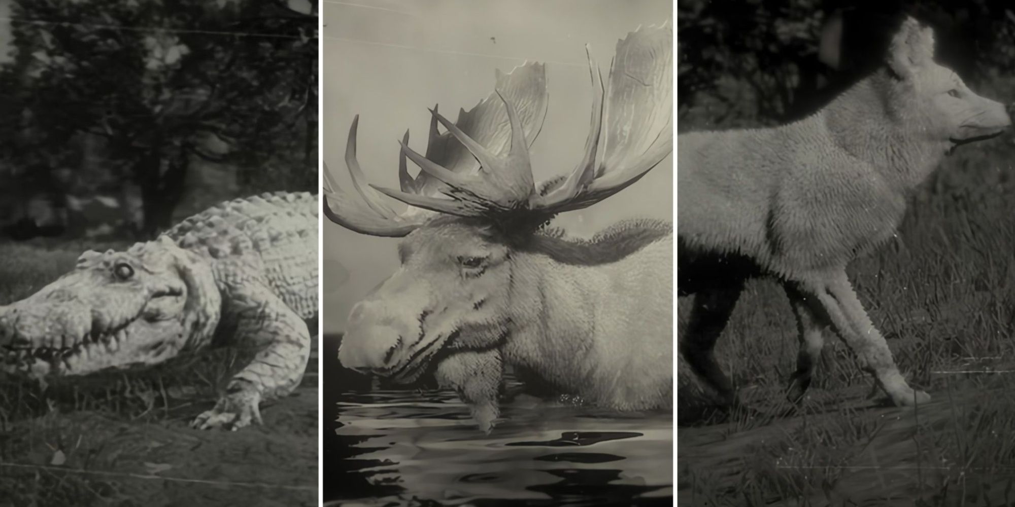 10 Legendary Animals You Need To Hunt In Red Dead Redemption 2