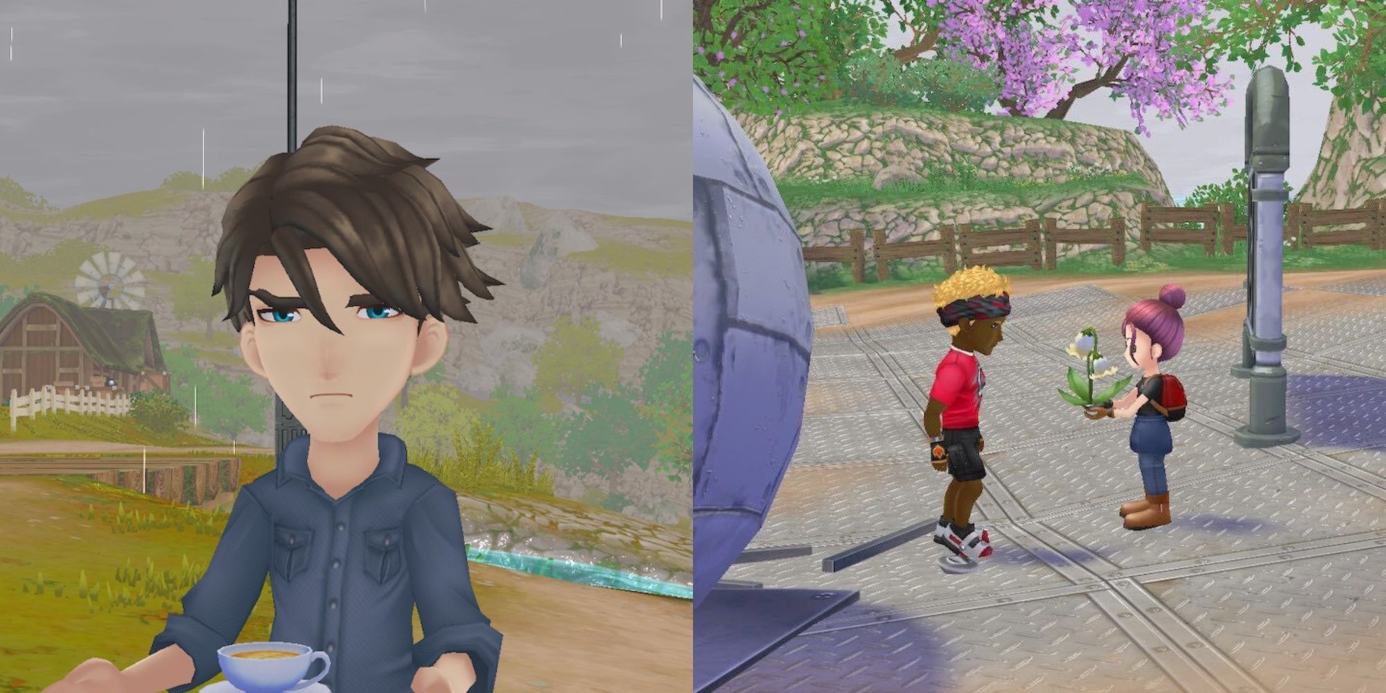 Story Of Seasons: A Wonderful Life - Gift Guide