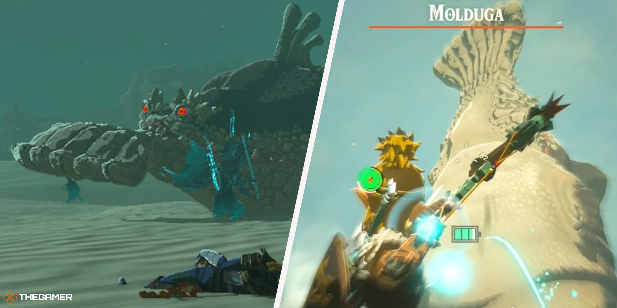 Molduga Locations And How To Beat Them In The Legend Of Zelda: Tears Of The Kingdom