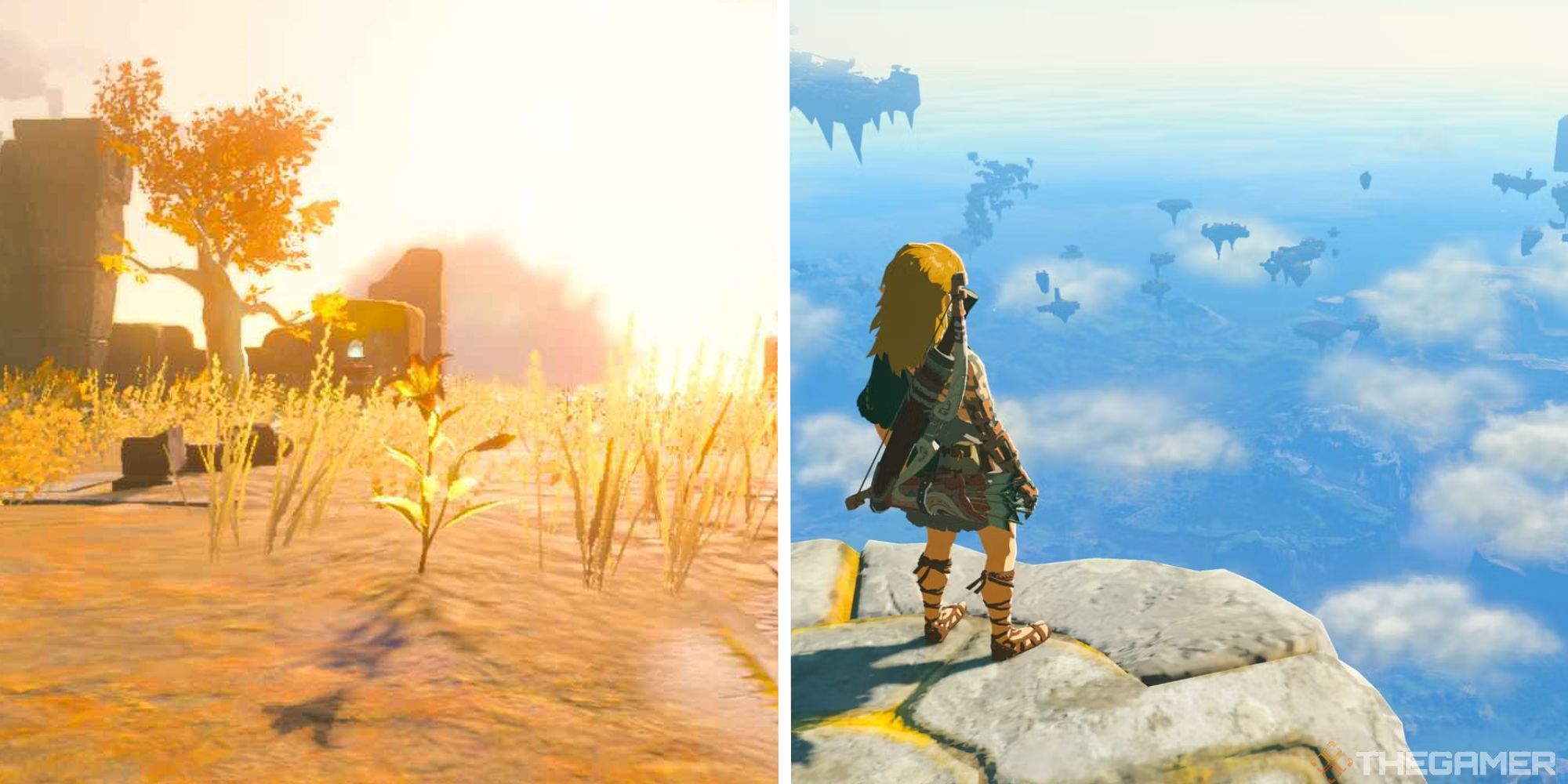 The Legend Of Zelda: Tears Of The Kingdom - Where To Farm Sundelions