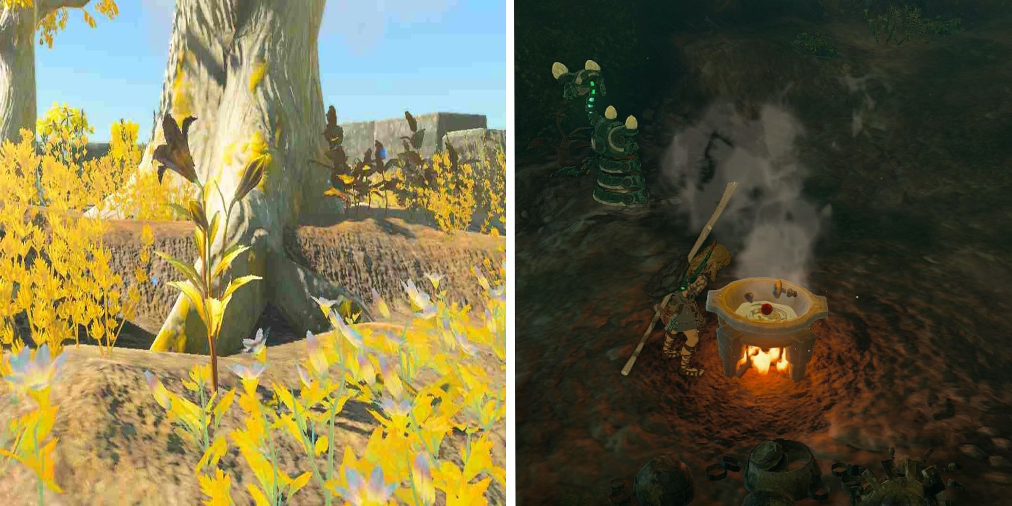 The Legend Of Zelda: Tears Of The Kingdom - Best Sundelion Recipes