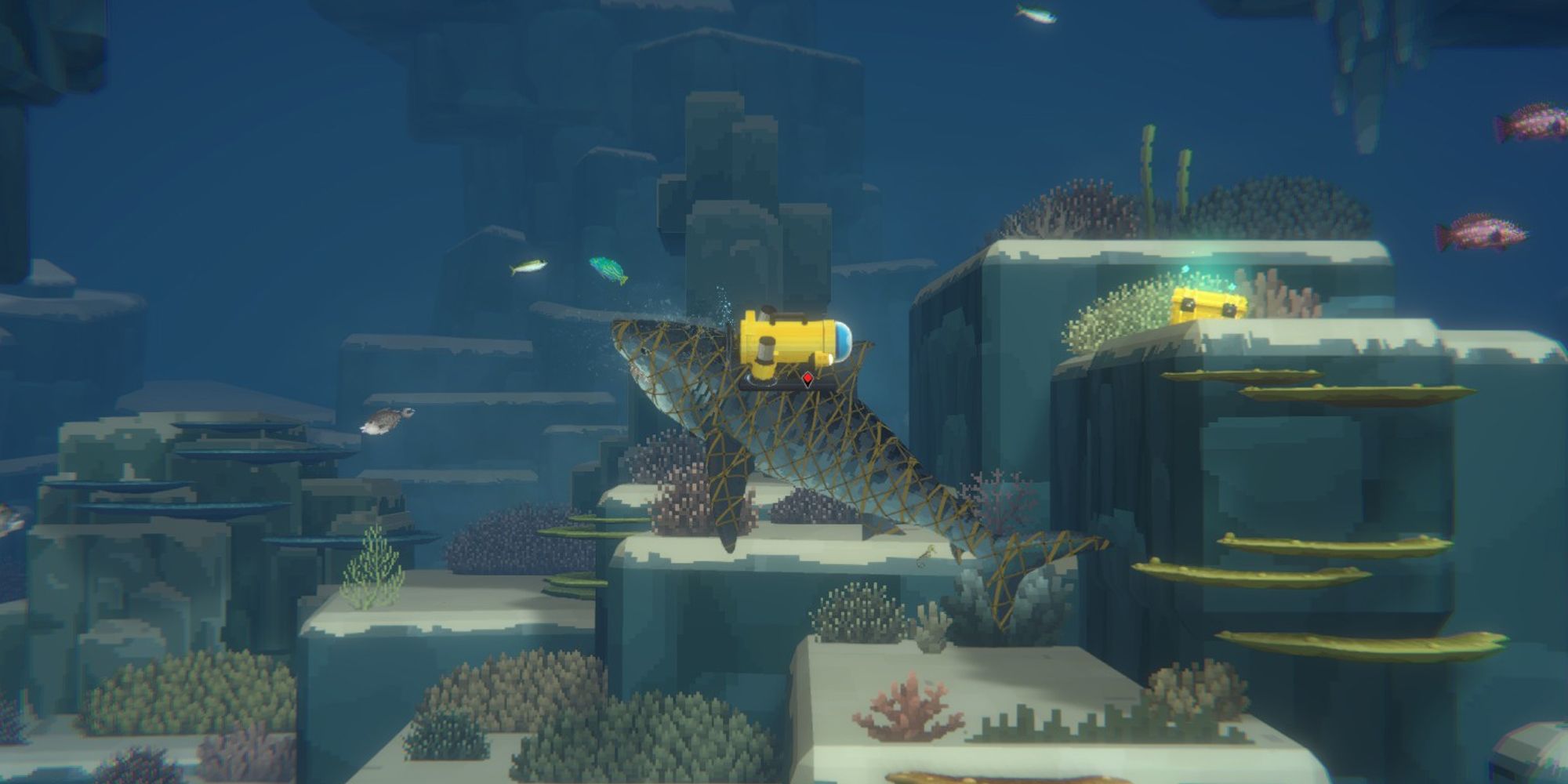 Dave The Diver: How To Catch 3 Star Sharks
